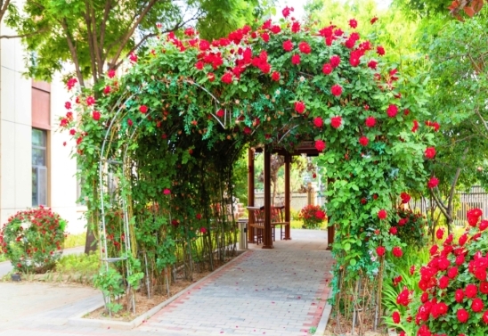 北京市顺义区和悦养老照料中心环境图片