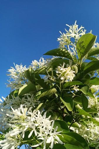 舒雅园颐养院_济宁低端老年公寓,济宁低端老年公寓地址