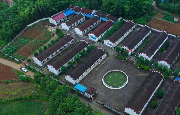 青阳县新河镇养老服务中心_池州养老院一览表,池州颐养养老中心