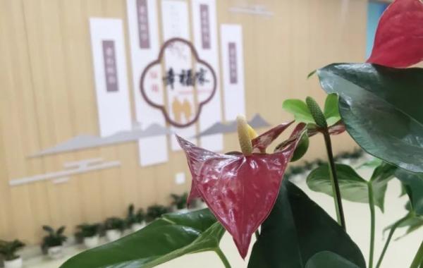 济南绿地国际城综合养老服务中心环境图片