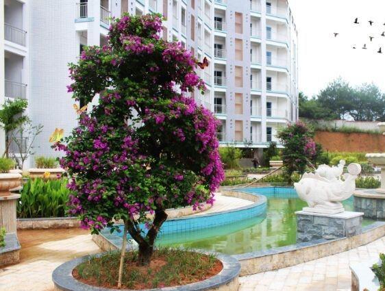 武平县颐养家园环境图片