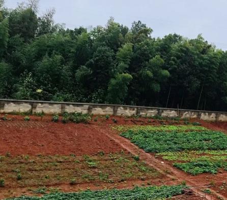 益阳市奎星老年公寓环境图片