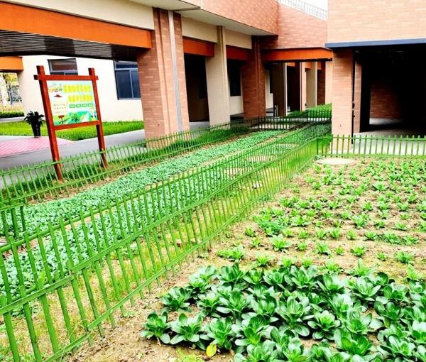 南通养老院介绍几家,南通养老院有哪些