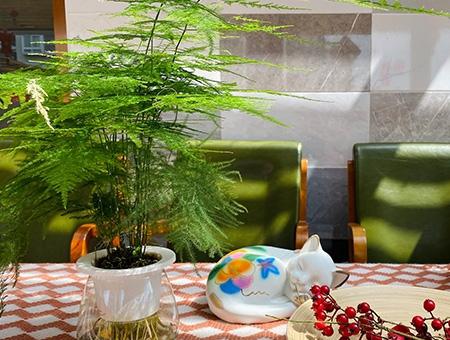 宏善·嘉康荟颐年公寓环境图片