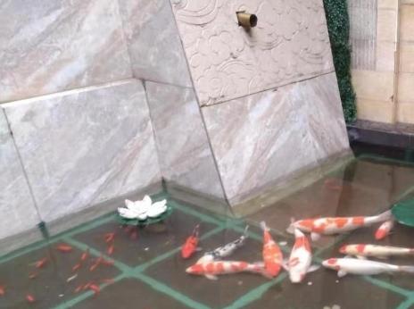 成都市青羊区瑞吉养老服务中心环境图片