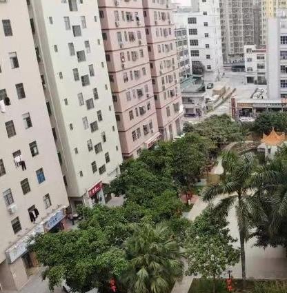 深圳市龙华区晚晴苑养护院_深圳优质养老院列举几家,深圳最好的养老院有哪几家