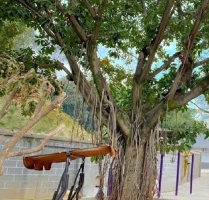 熹年康养中心_攀枝花老年痴呆照护养老社区,攀枝花敬老院