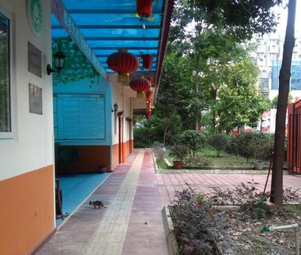 成都双流区寿而康双桂居家养老服务中心_成都双流区全护理养老院排名,双流养老中心