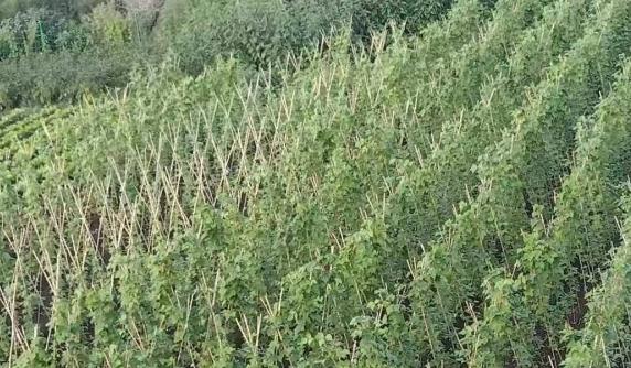 哈尔滨市道外区闻悦养老院