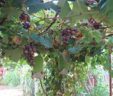 老军医老年公寓_秦皇岛比较有名的养老院大全,秦皇岛最好的养老中心