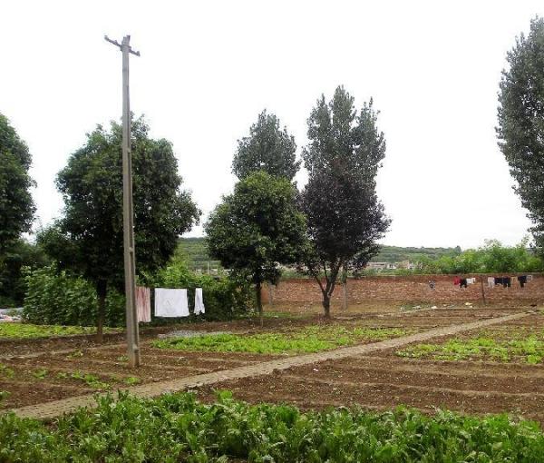 石家庄大众精神病人托管院环境图片