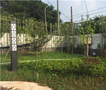 重庆巴南颐善康养中心环境图片