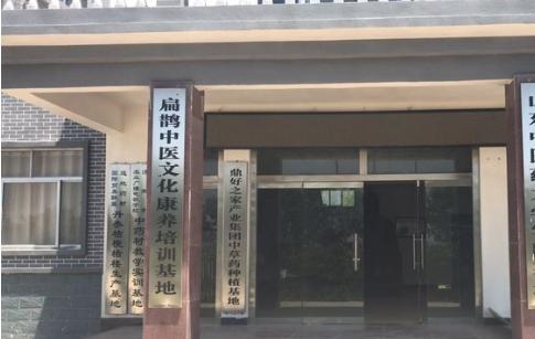 山东济南市扁鹊康养小镇环境图片