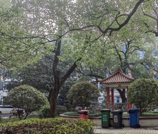 株洲市人民医院_株洲比较有名的养老院目录,株洲最大最好的养老院