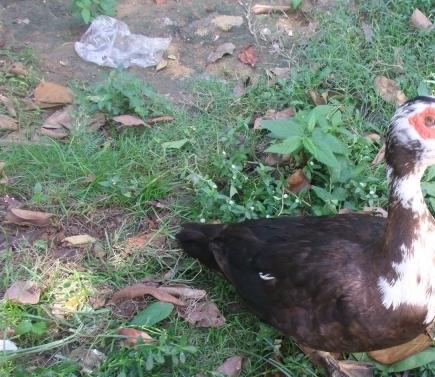 广西红博湾田园康养中心_北海有名的老年护理院地址