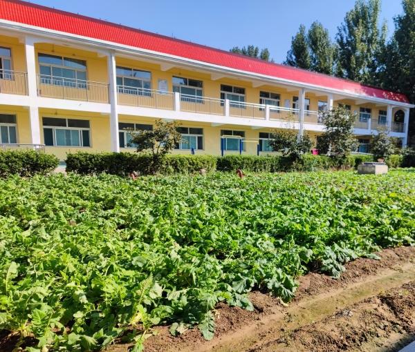 山东健康益寿光年高新区中心敬老院环境图片