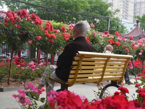 郑州市老年公寓环境图片