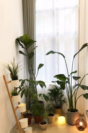 嘉和阳光·东胜街道居家养老服务中心_宁波4000元老年护理院名单