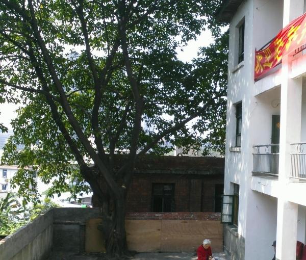 长生养老院_重庆口碑好养老社区查询,重庆高端养老社区