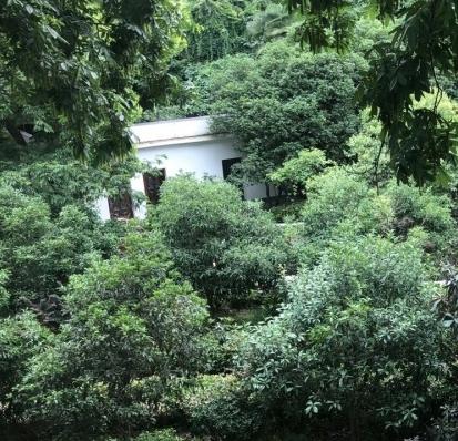 月湖康养中心_武汉老年痴呆养老院一览表,武汉 老年痴呆