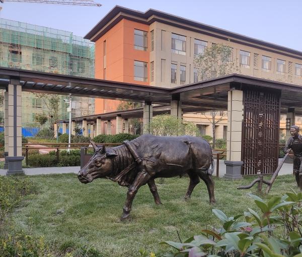 伏城医养中心·长寿村环境图片