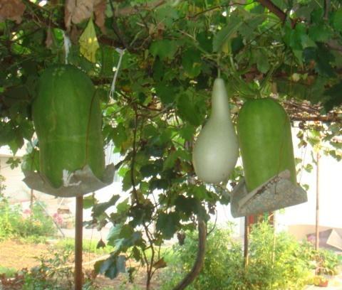 老军医老年公寓_秦皇岛中上等养老院名单一览