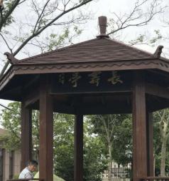 上海市浦东新区新场镇石笋养老院环境图片