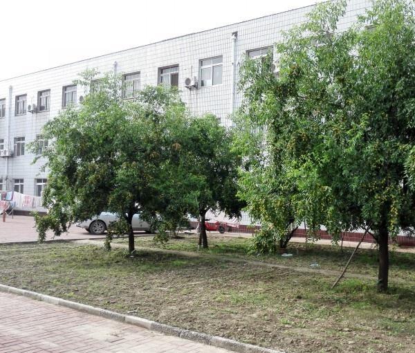 大城县老年公寓_廊坊风景优美养老院,廊坊养老院能自理的人去哪家最好