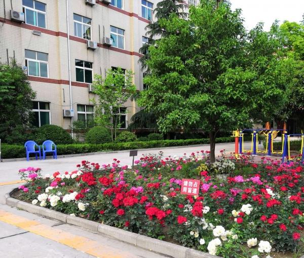 西咸新区沣东新城反哺堂老年公寓_西安老年护理院,西安老年护理院地址