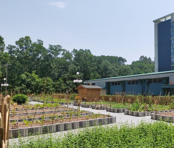 岭南养生谷_广州高级的养老院介绍几家,广州养老院排名