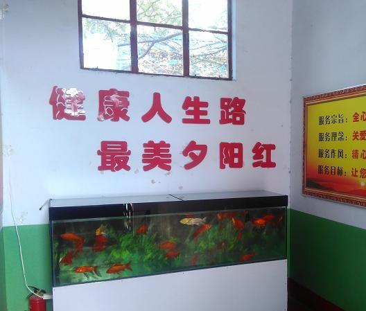 薛城区夕阳红老年公寓