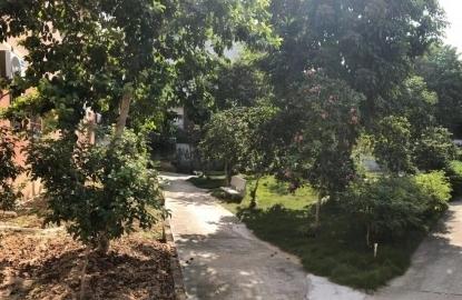 四会市大沙镇康泰苑颐养服务中心_肇庆8000元养老院排名前十,肇庆养老院哪家最好