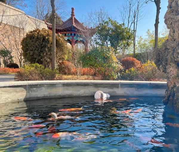 城运颐养健康中心市北院环境图片